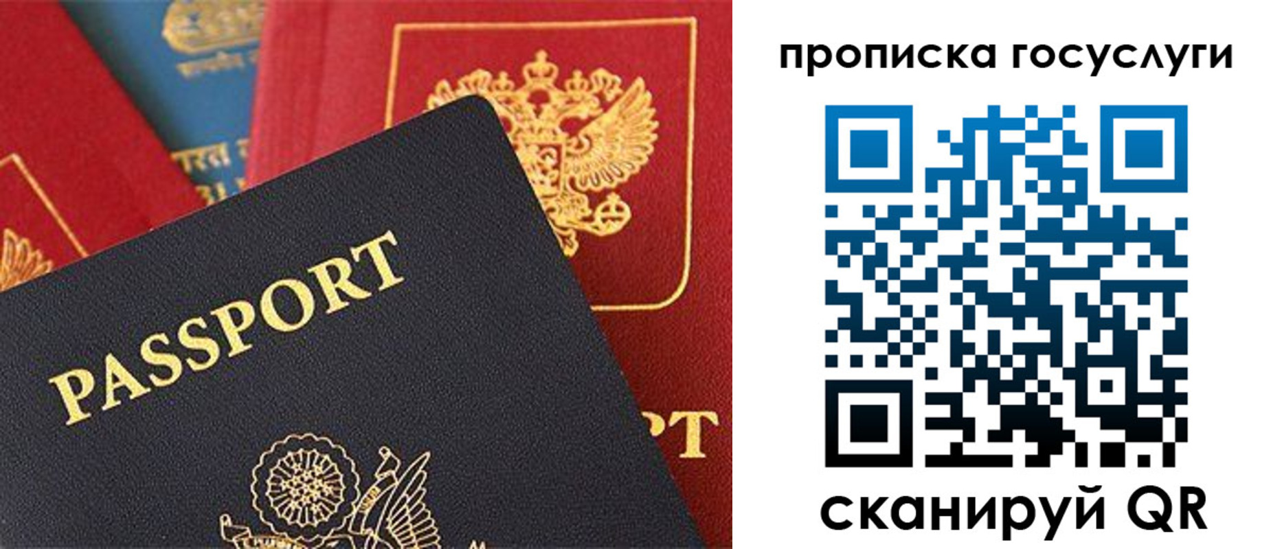 где прописаться в Ивантеевке